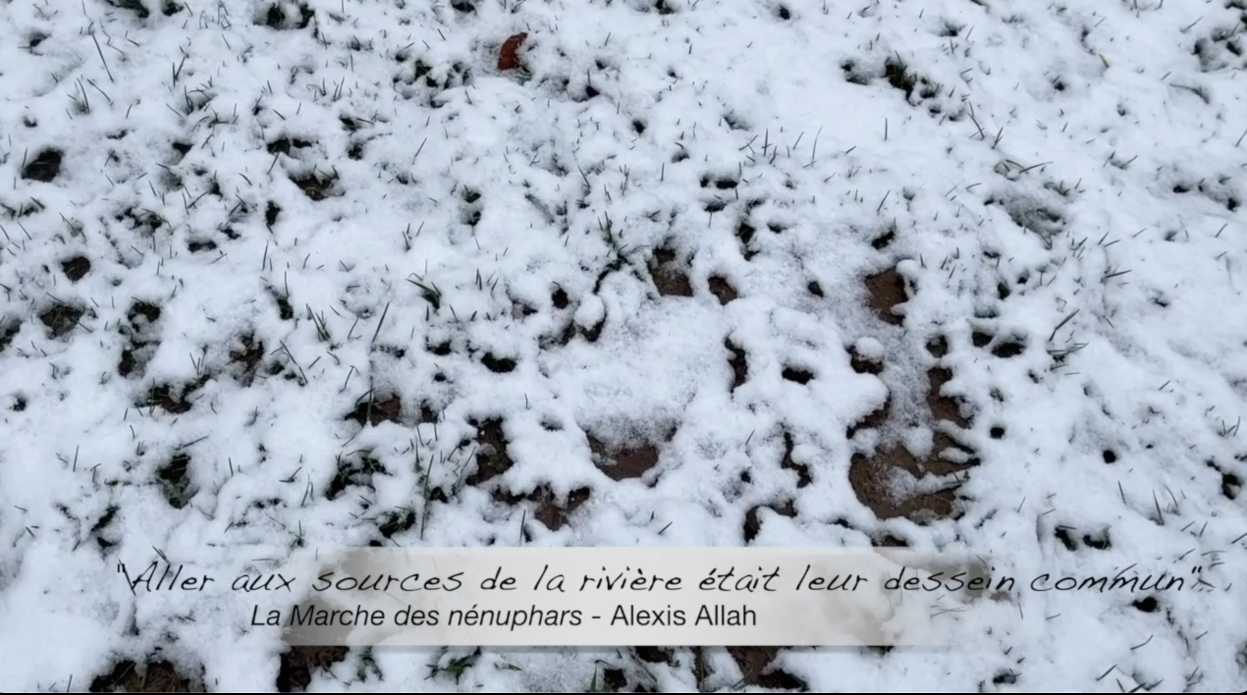 Capture d’écran 2024-06-16 à 11.11.26